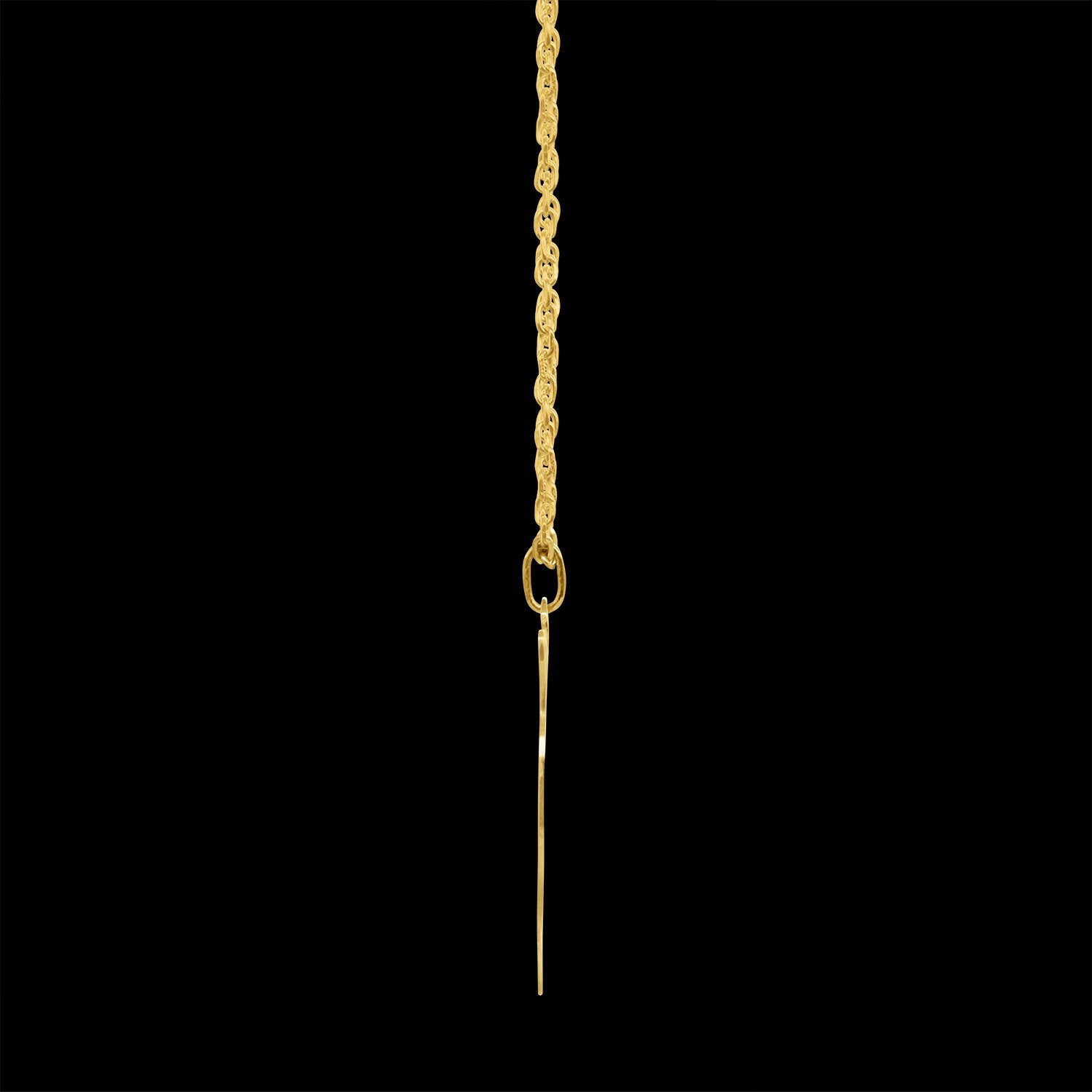 Raging Lion Necklace