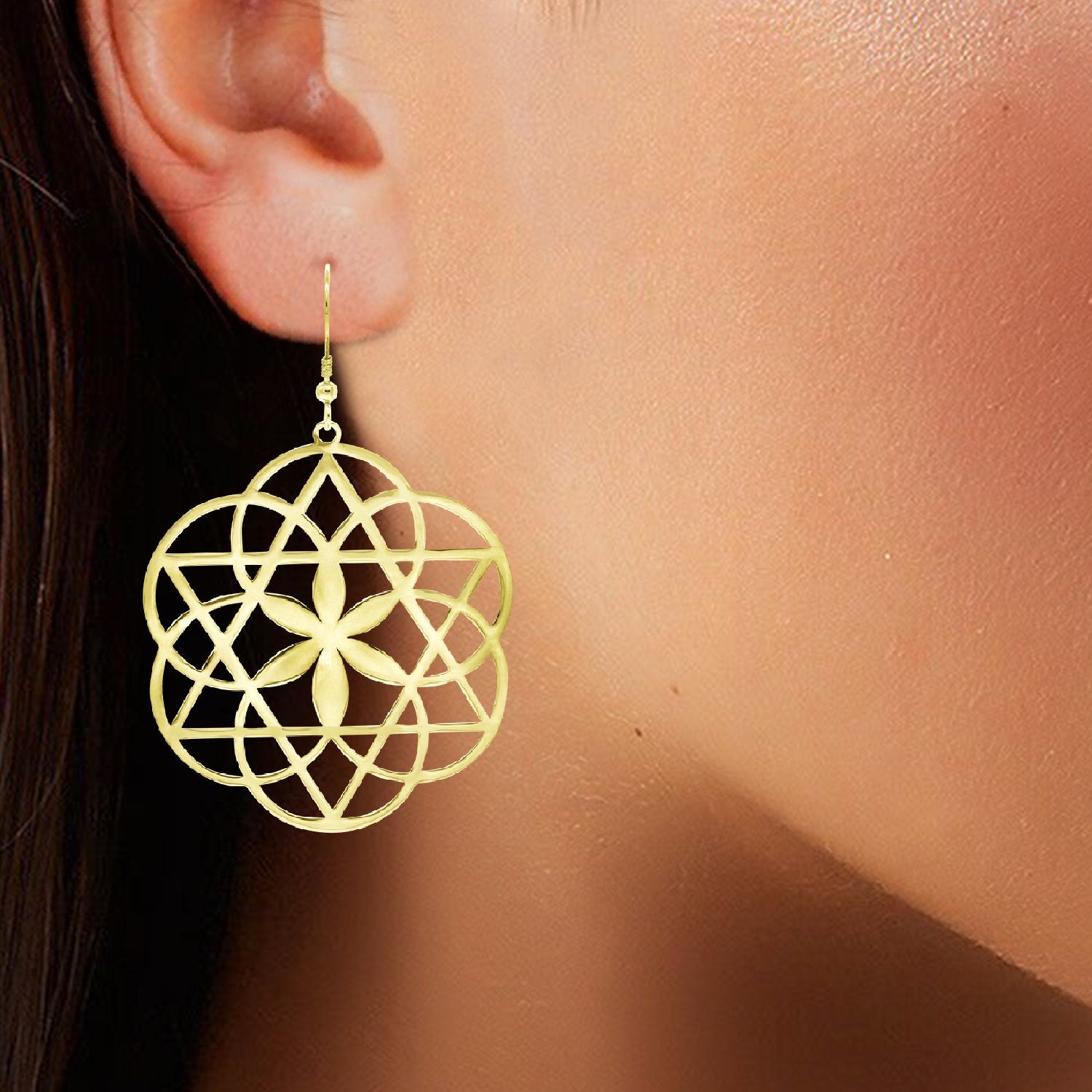 Interwind Drop Earrings