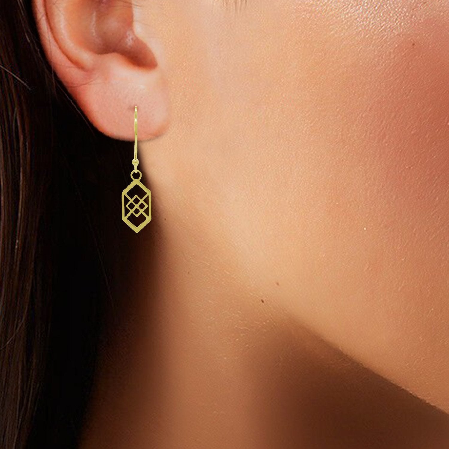 Swivel Fancy Earrings