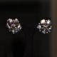 Shiney Whitey Diamond Earrings