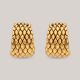 Amishi Gold Earrings