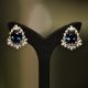 Shiny Blue Diamond Earrings